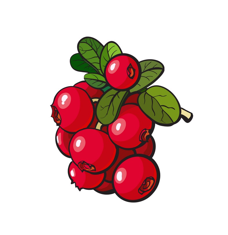 bunch of cranberries