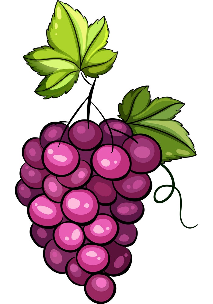 bunch of grapes 2
