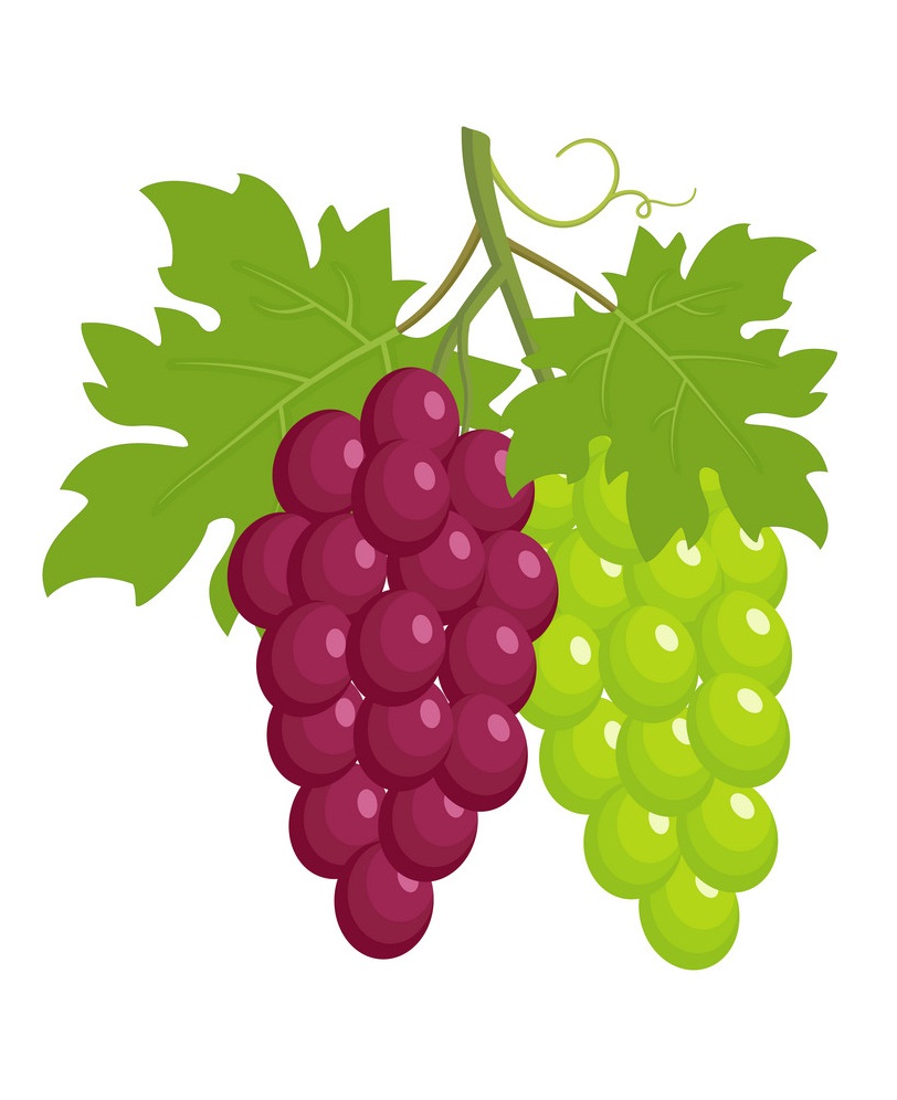 bunch of red and green grapes