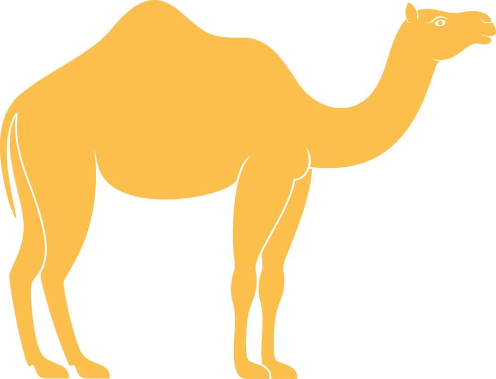 camel flat design
