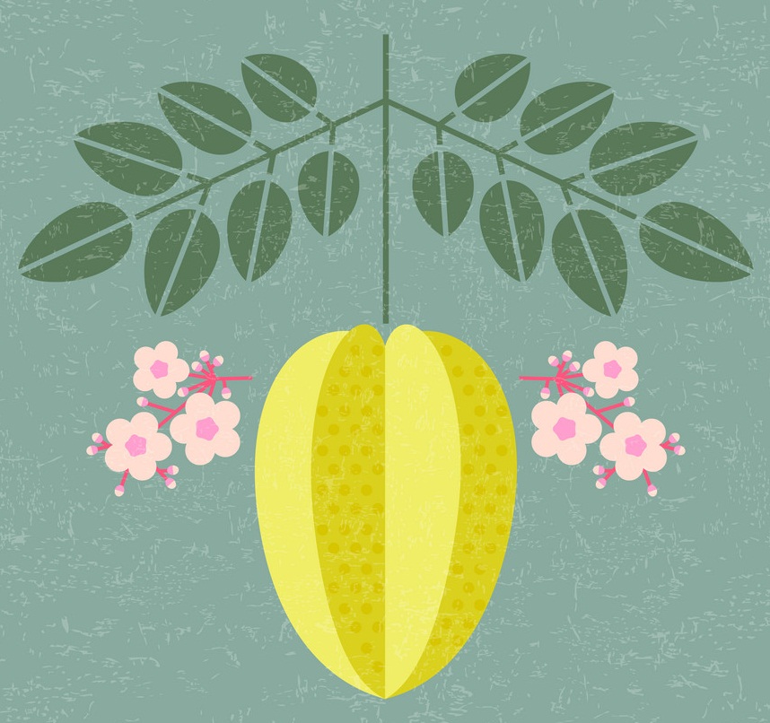 carambola icon with leaves and flowers
