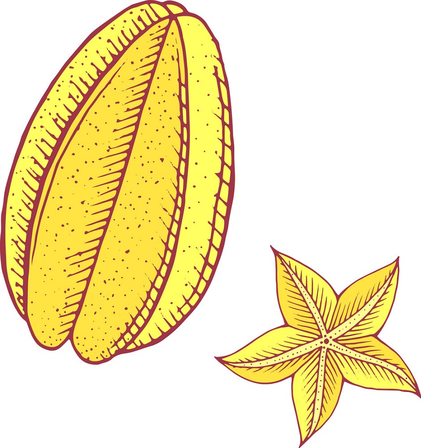 carambola with a slice