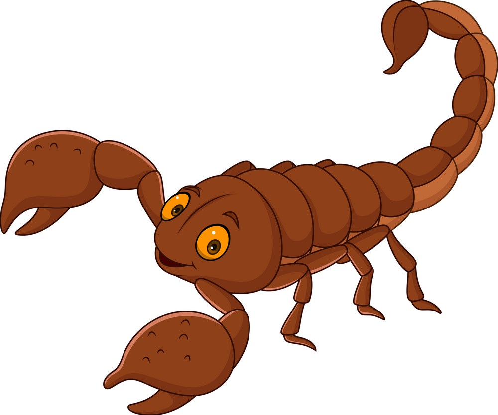 caroon brown scorpion