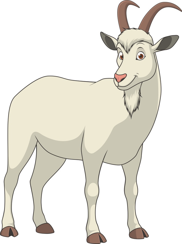 cartoon adult goat