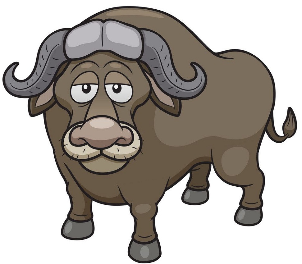 cartoon african buffalo