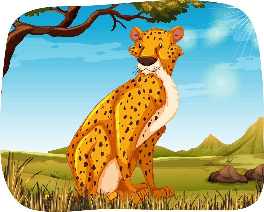 cartoon african cheetah