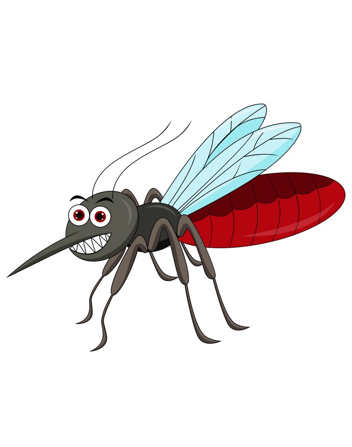 cartoon bad mosquito