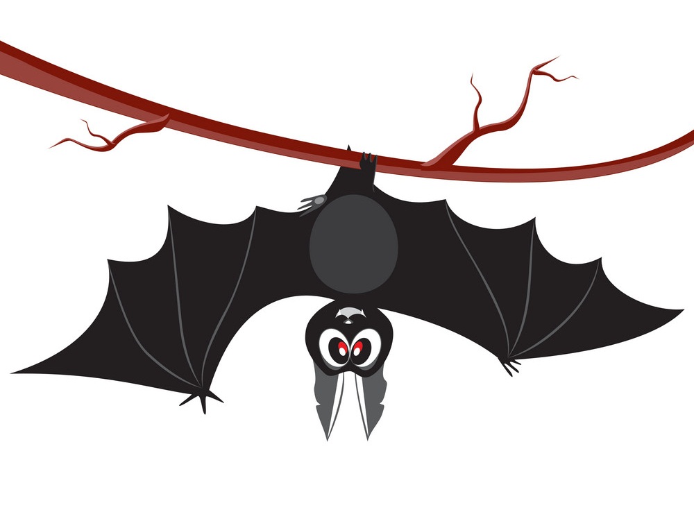 cartoon bat hanging on tree branch