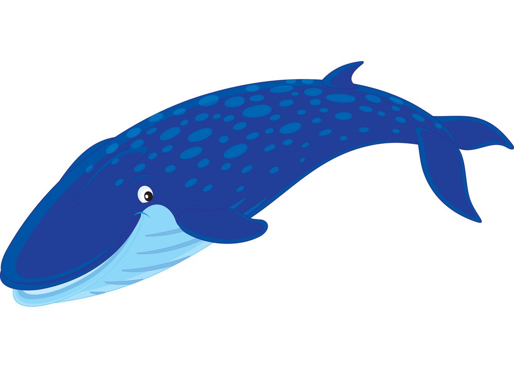 cartoon blue whale
