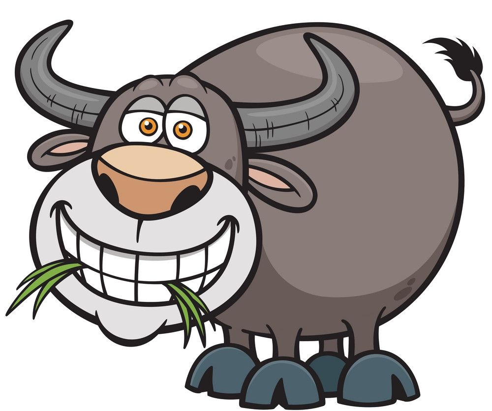 cartoon buffalo eating grass