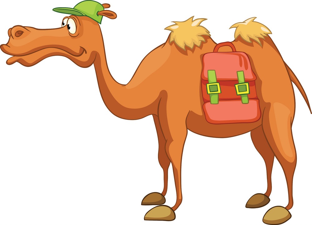 cartoon camel go travel