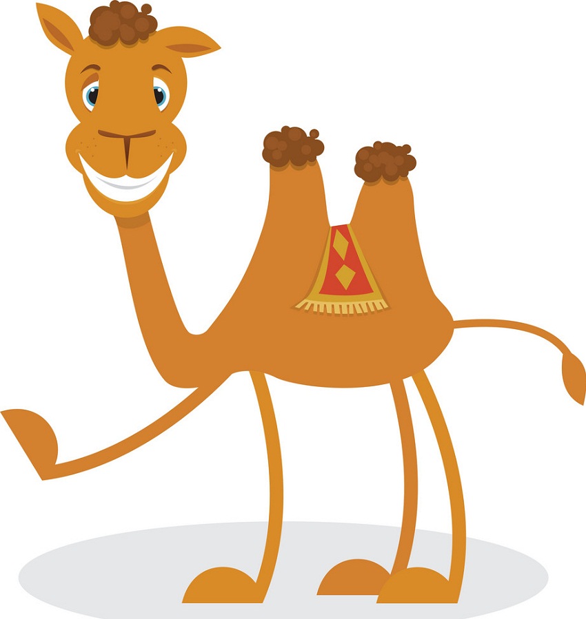 cartoon camel smiling