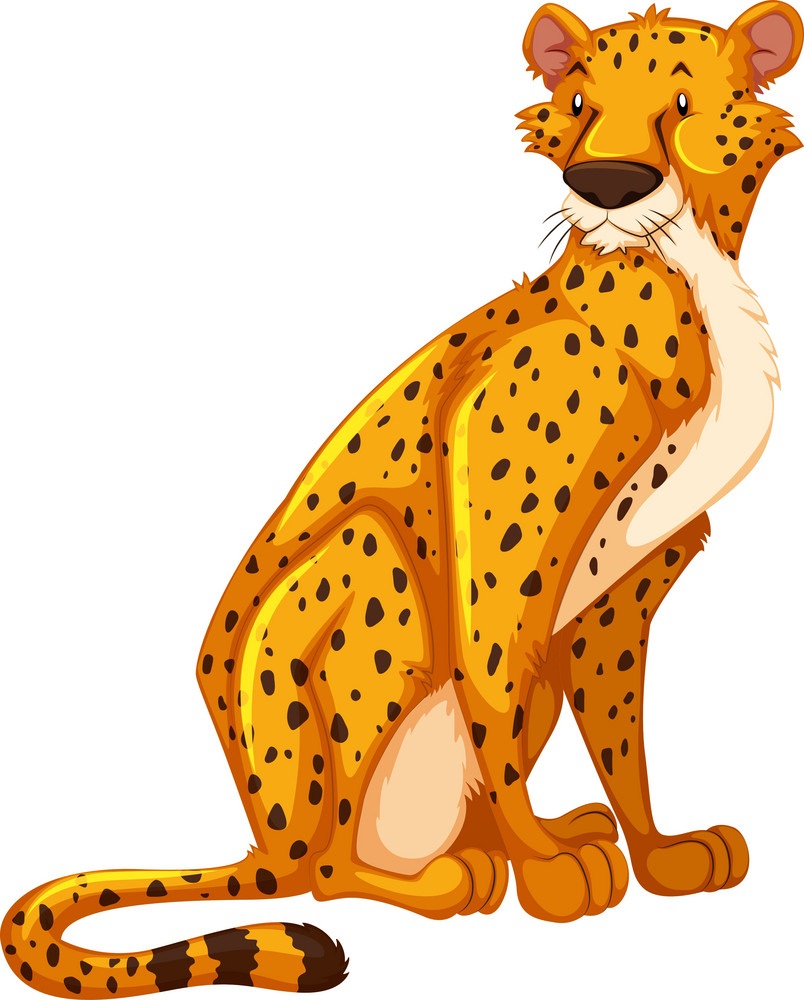 cartoon cheetah sitting