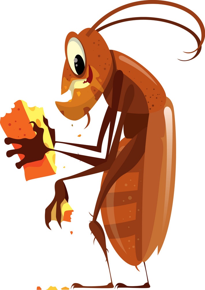 cartoon cockroach eating cheese