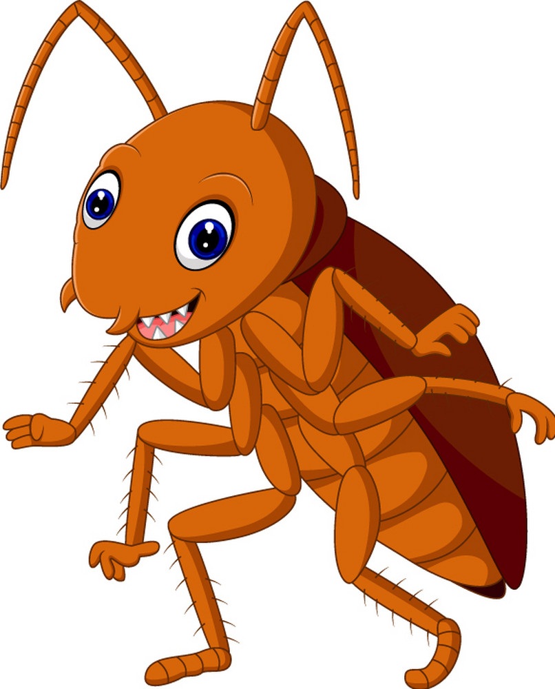 cartoon cockroach
