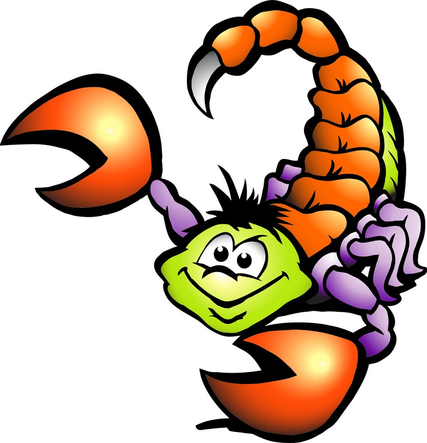 cartoon colorful scorpion
