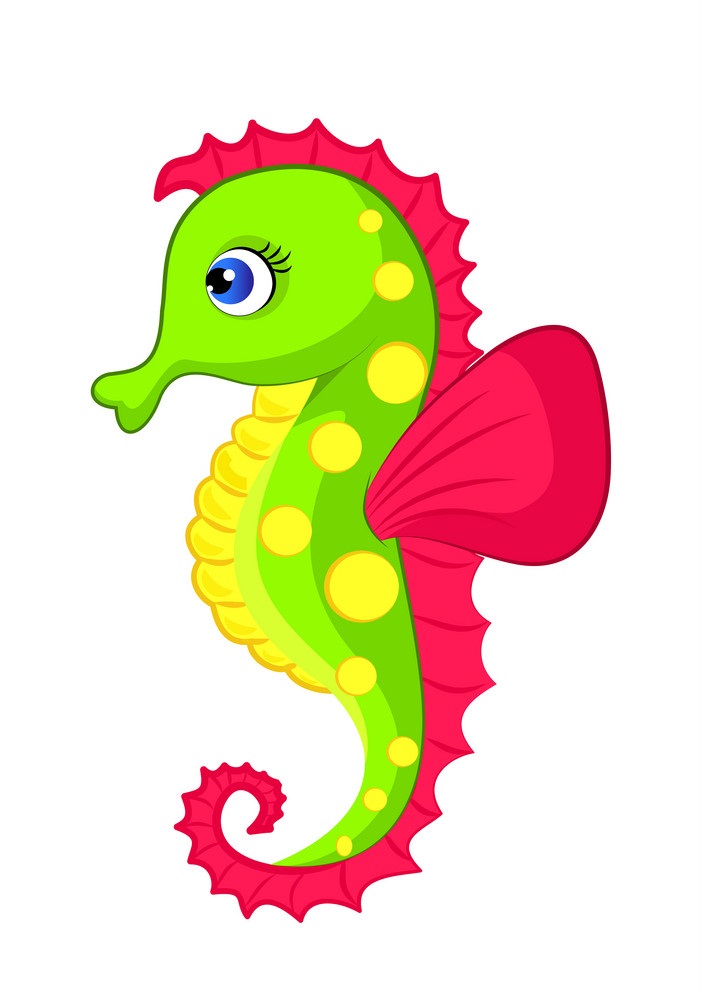 cartoon colorful seahorse