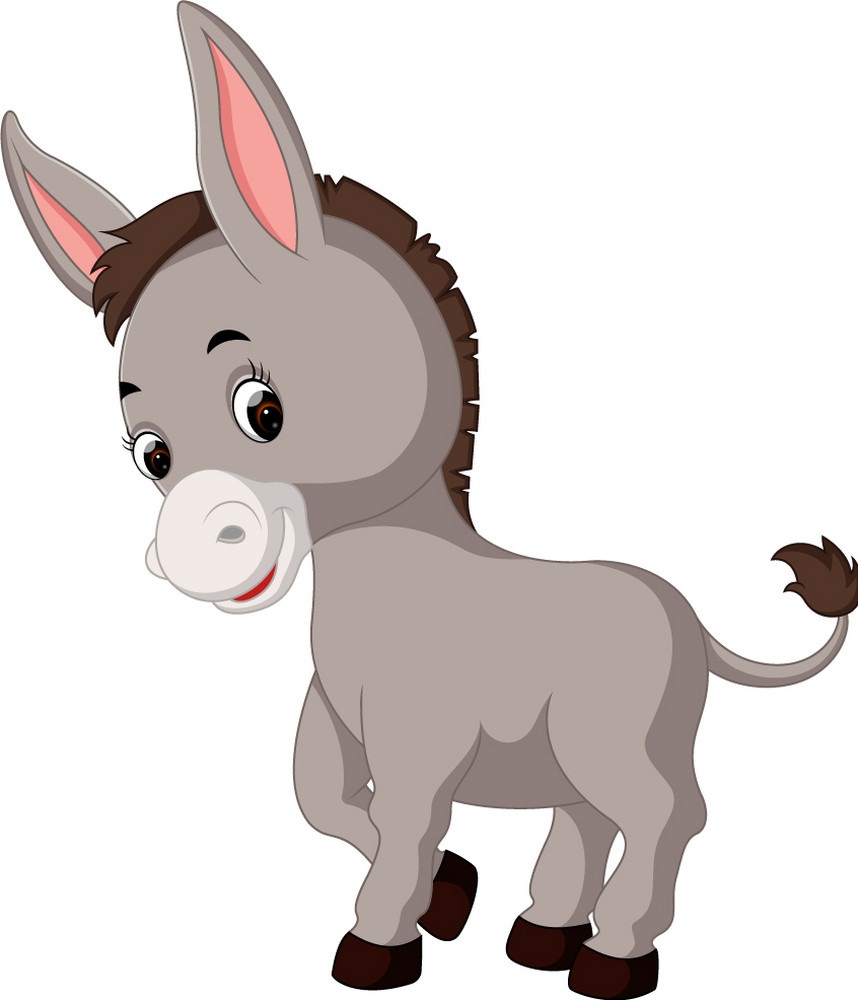 cartoon cute donkey