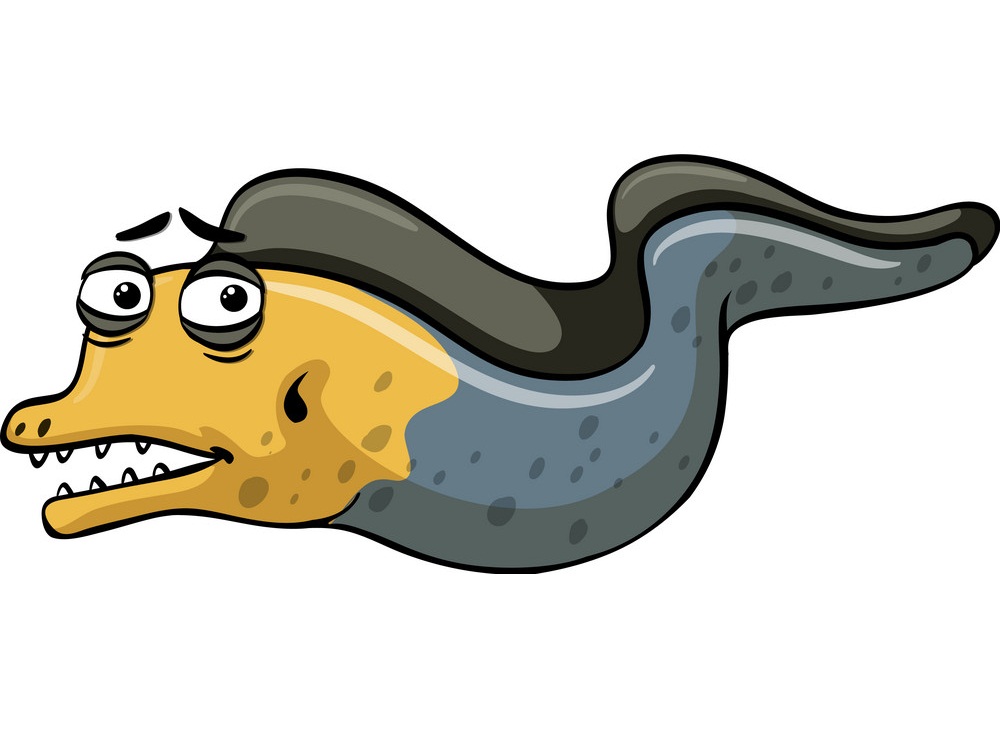 cartoon eel looks sad