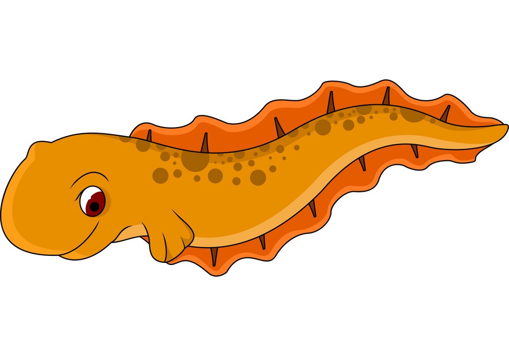 cartoon eel