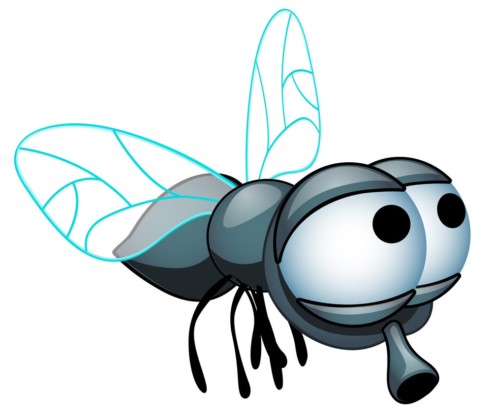 cartoon fly with big eyes