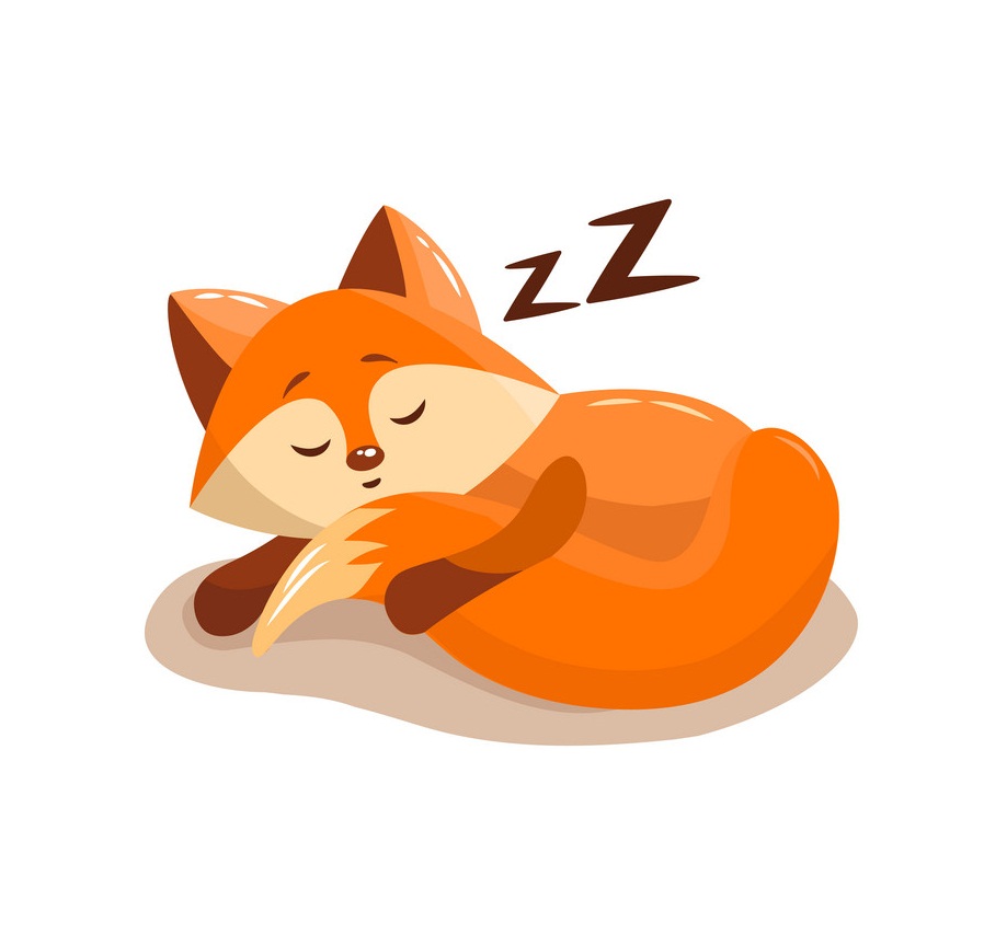 cartoon fox sleeping