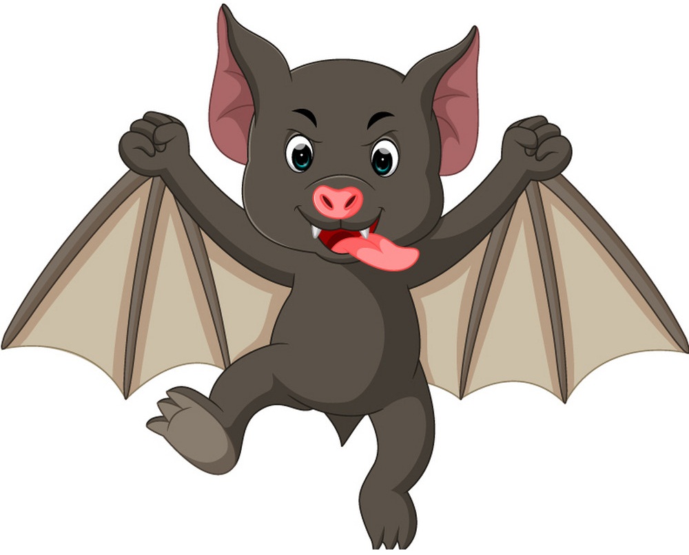 cartoon funny bat