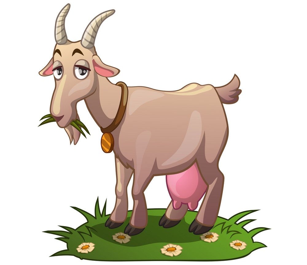 cartoon goat eating grass