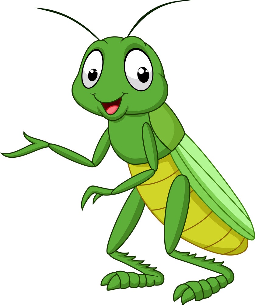 cartoon grasshopper 1