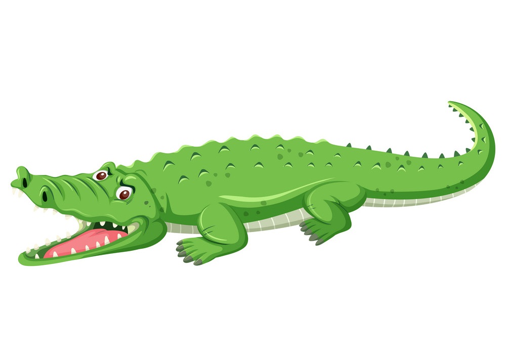 cartoon green crocodile with open mouth