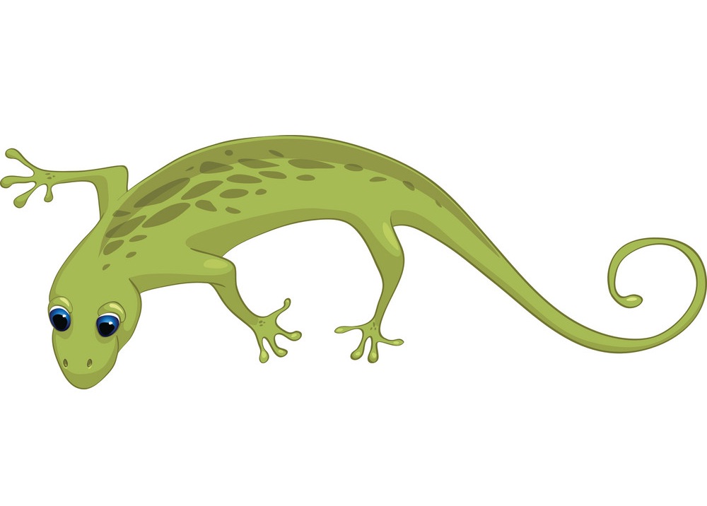 cartoon green lizard