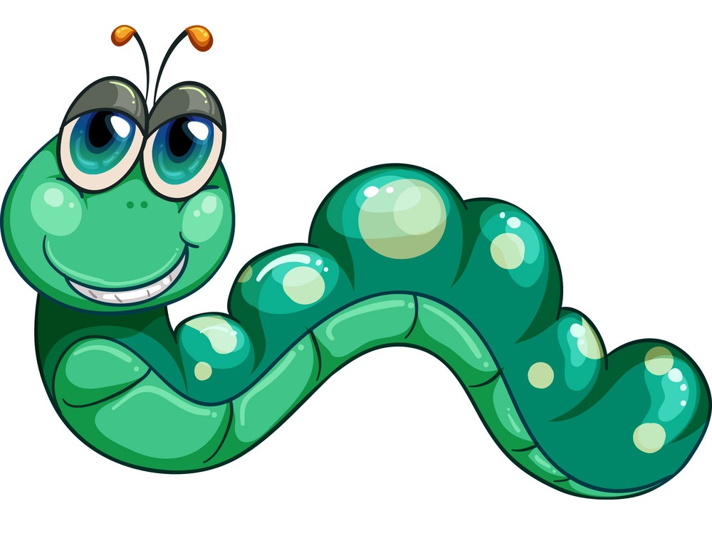cartoon green worm