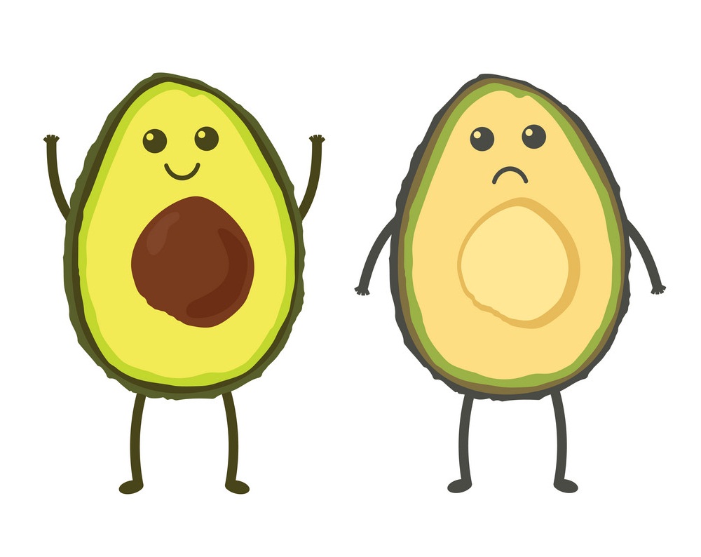 cartoon happy and sad avocado