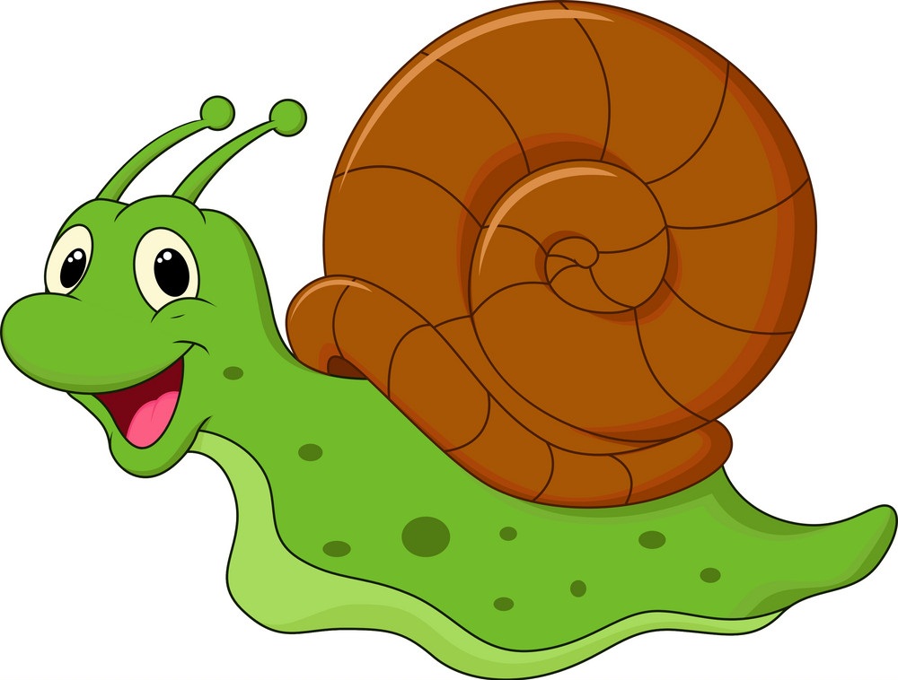 cartoon happy snail