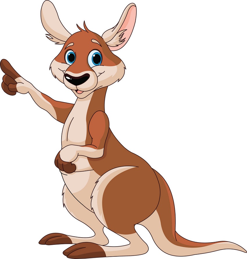 cartoon kangaroo pointing
