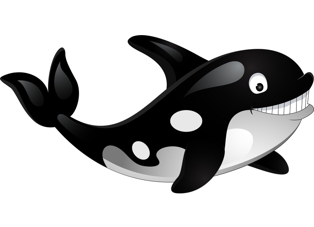 cartoon killer whale