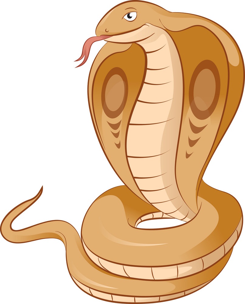 cartoon king cobra