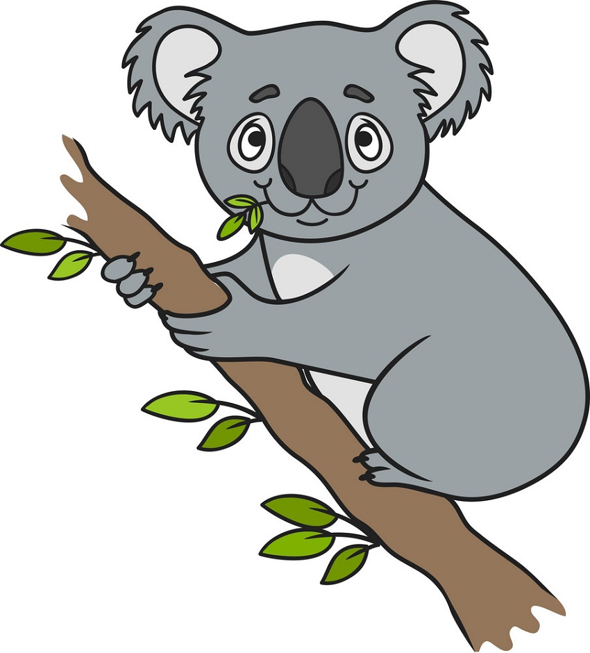 cartoon koala on a tree branch