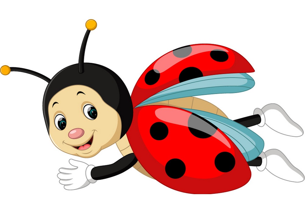cartoon ladybug flying