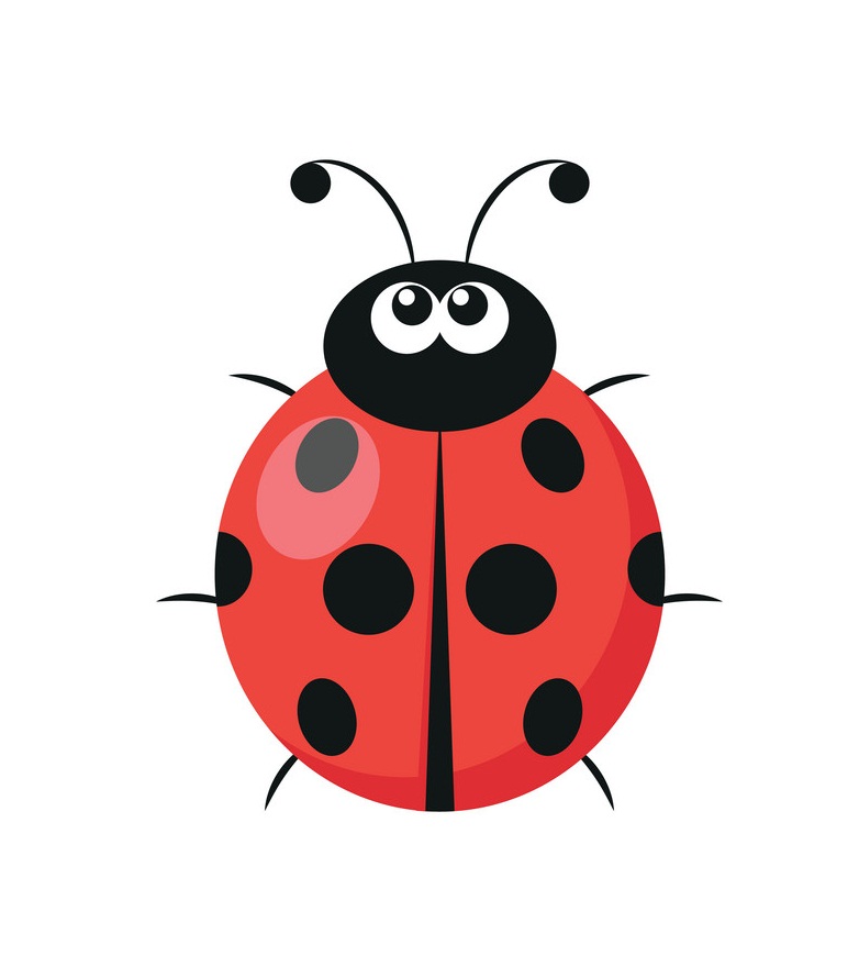 cartoon ladybug icon