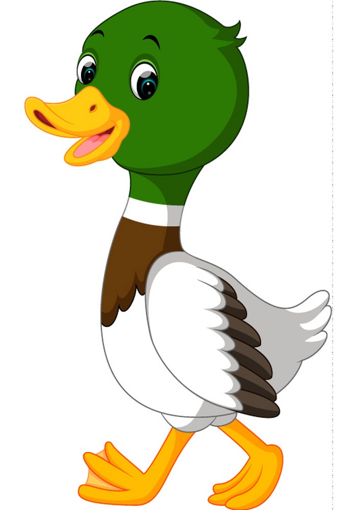 cartoon little duck