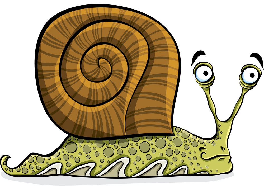cartoon old snail