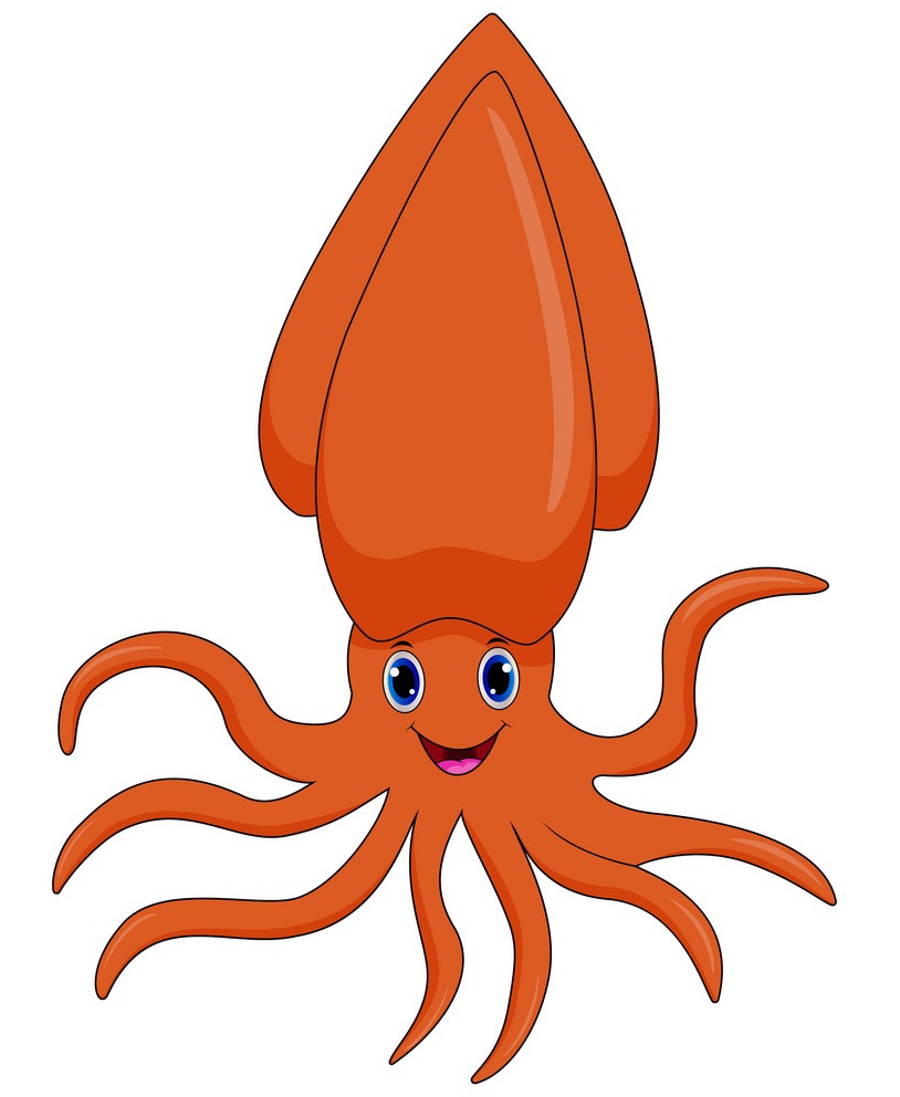cartoon orange squid
