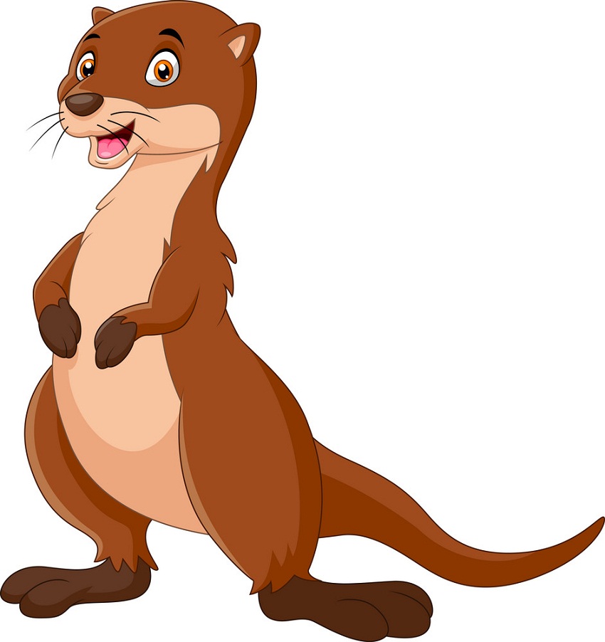 cartoon otter