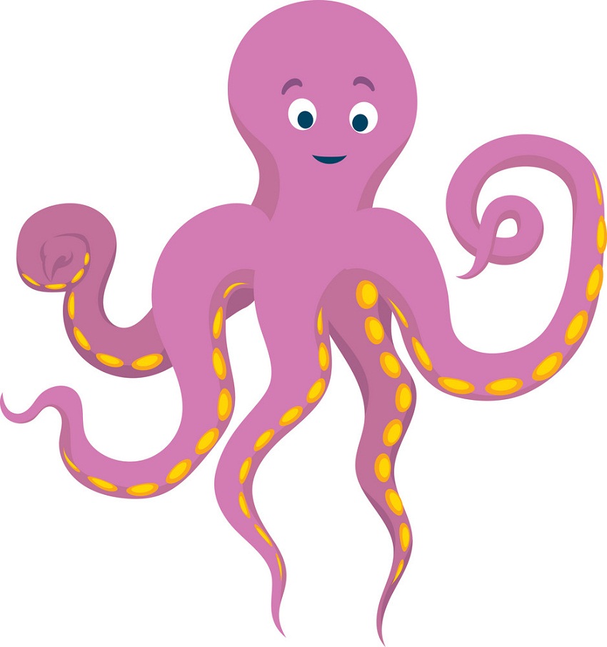 cartoon pink octopus
