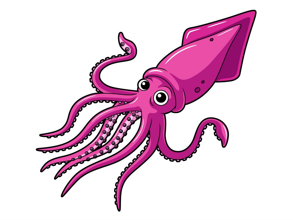 cartoon pink squid