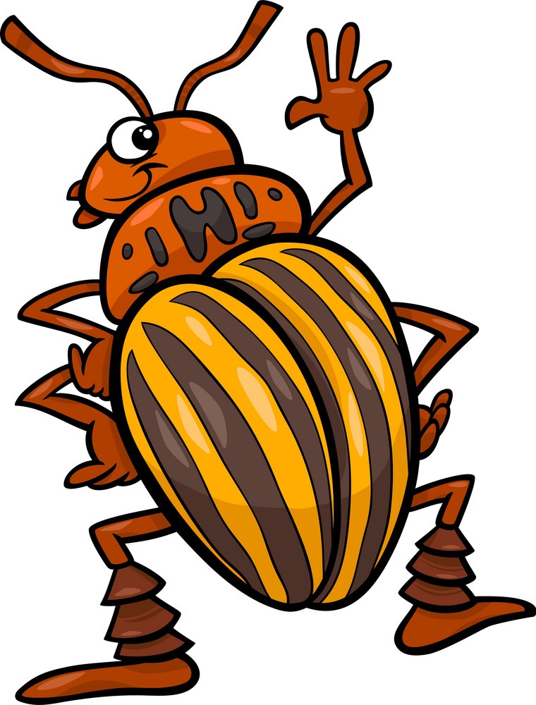 cartoon potato beetle
