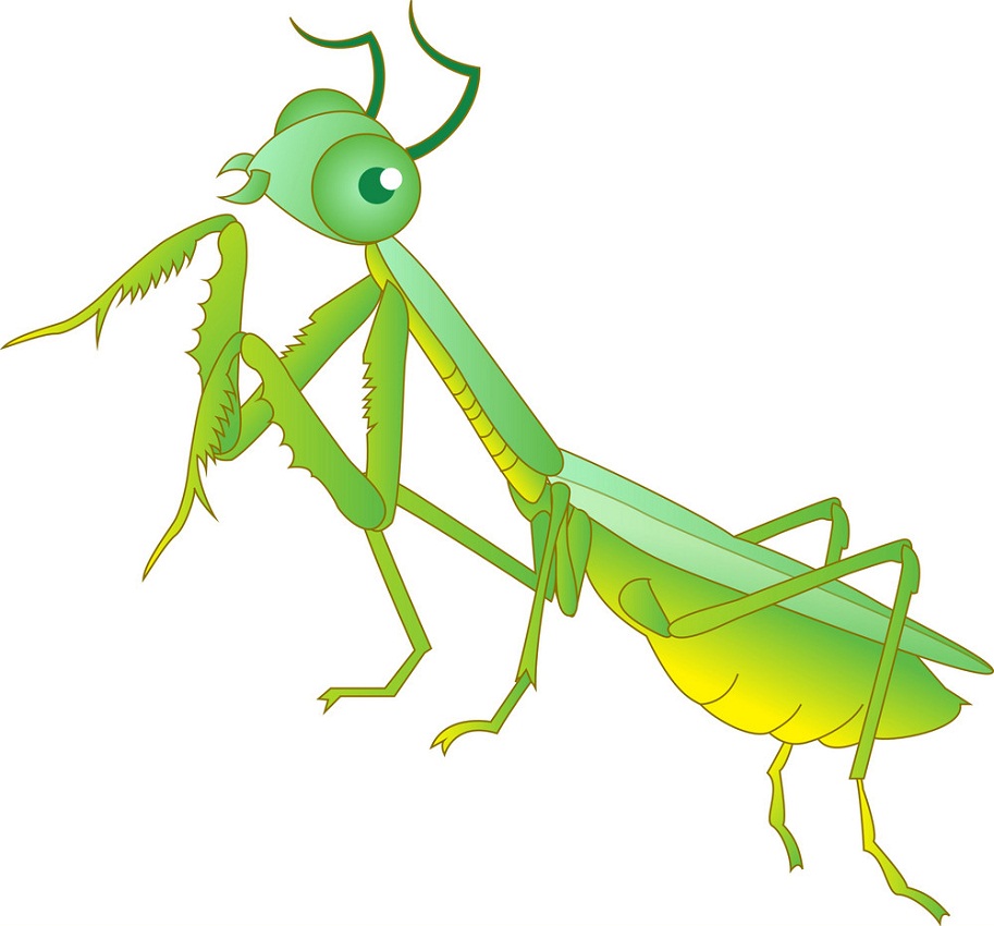 cartoon praying mantis 1