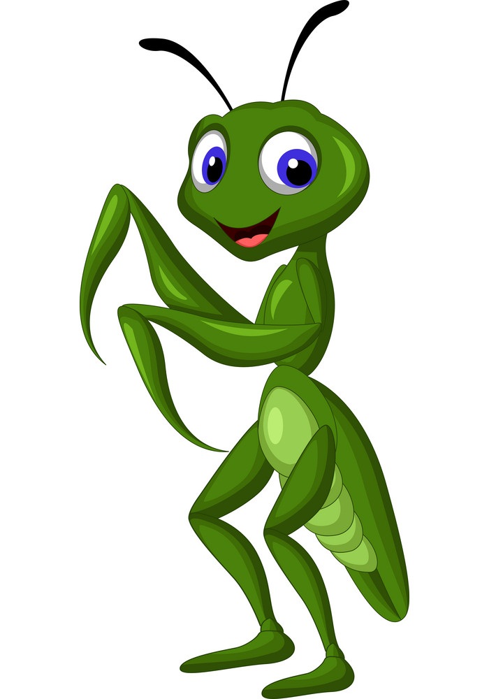 cartoon praying mantis standing