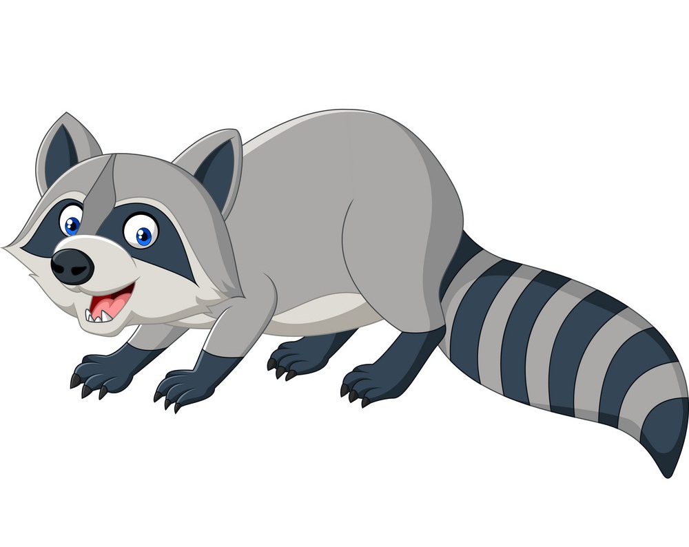 cartoon raccoon